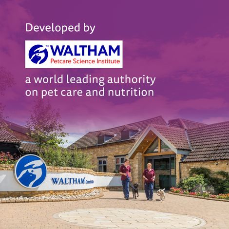 Whiskas Kitten Ocean Fish Flavour Dry Cat Food