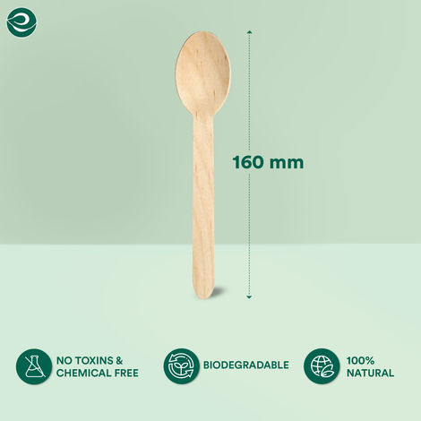 ECO SOUL 160mm | 50 Count | Disposable Spoon