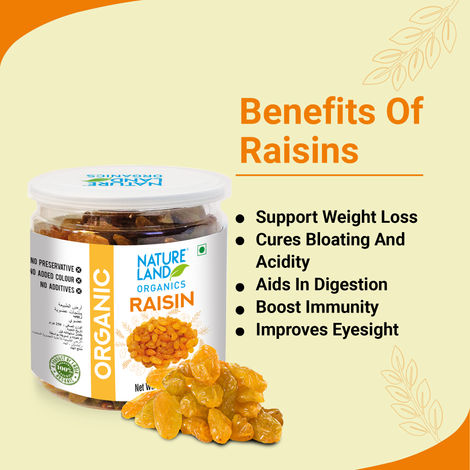 Natureland Organics Raisin