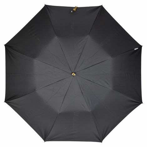 Eume Armor Auto Open 24.5 Inch 2 Fold Unisex Black And Silver Color Umbrella