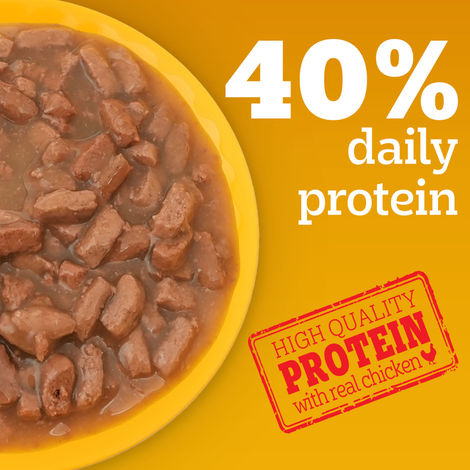 Pedigree Adult Chicken & Liver Chunks In Gravy Wet Dog Food