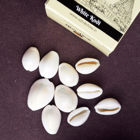 Satvik White Kaudi For Puja