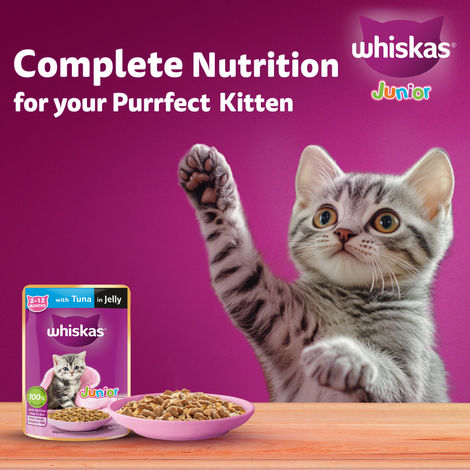 Whiskas Junior Tuna in Jelly Wet Cat Food