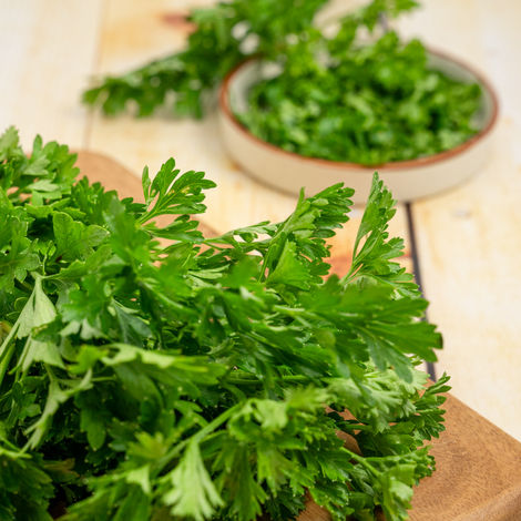 Parsley