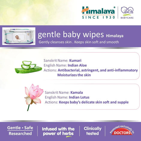 Himalaya Gentle Baby Wipes