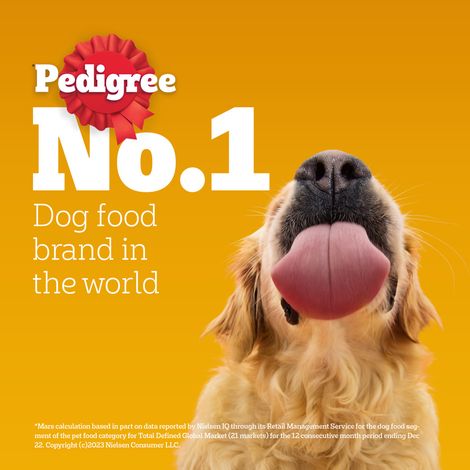 Pedigree Adult Chicken & Liver Chunks In Gravy Wet Dog Food