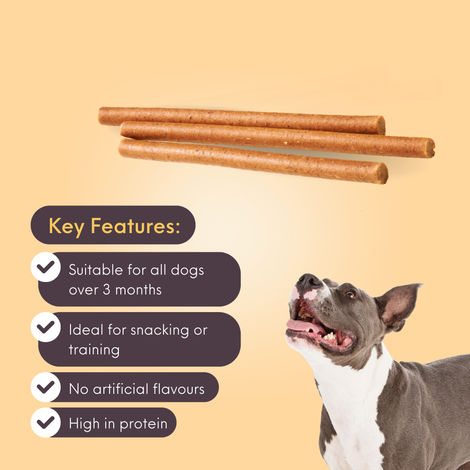 Bearhugs Chicken & Pumpkin Sticksdog Treat