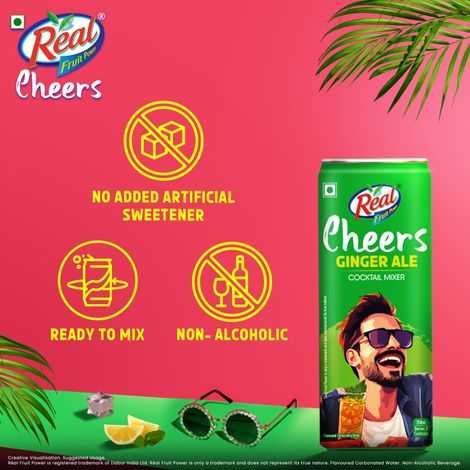 Real Cheers Ginger Ale - Cocktail Mixer