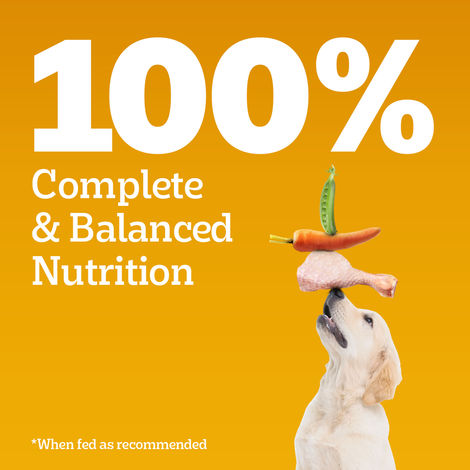 Pedigree Puppy Chicken & Milk Dry Dog Food