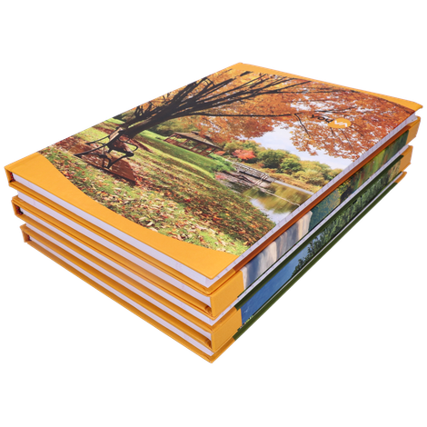 Navneet Youva | Case Bound | Long Book | 21x29.7 cm | Single Line | 288 Pages - Assorted