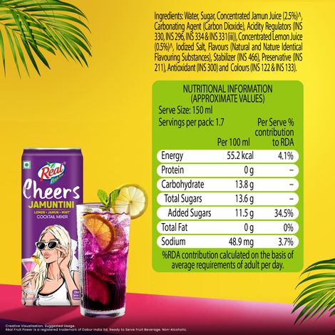 Real Cheers Jamuntini - Cocktail Mixer