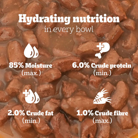 Pedigree Adult Chicken & Liver Chunks In Gravy Wet Dog Food