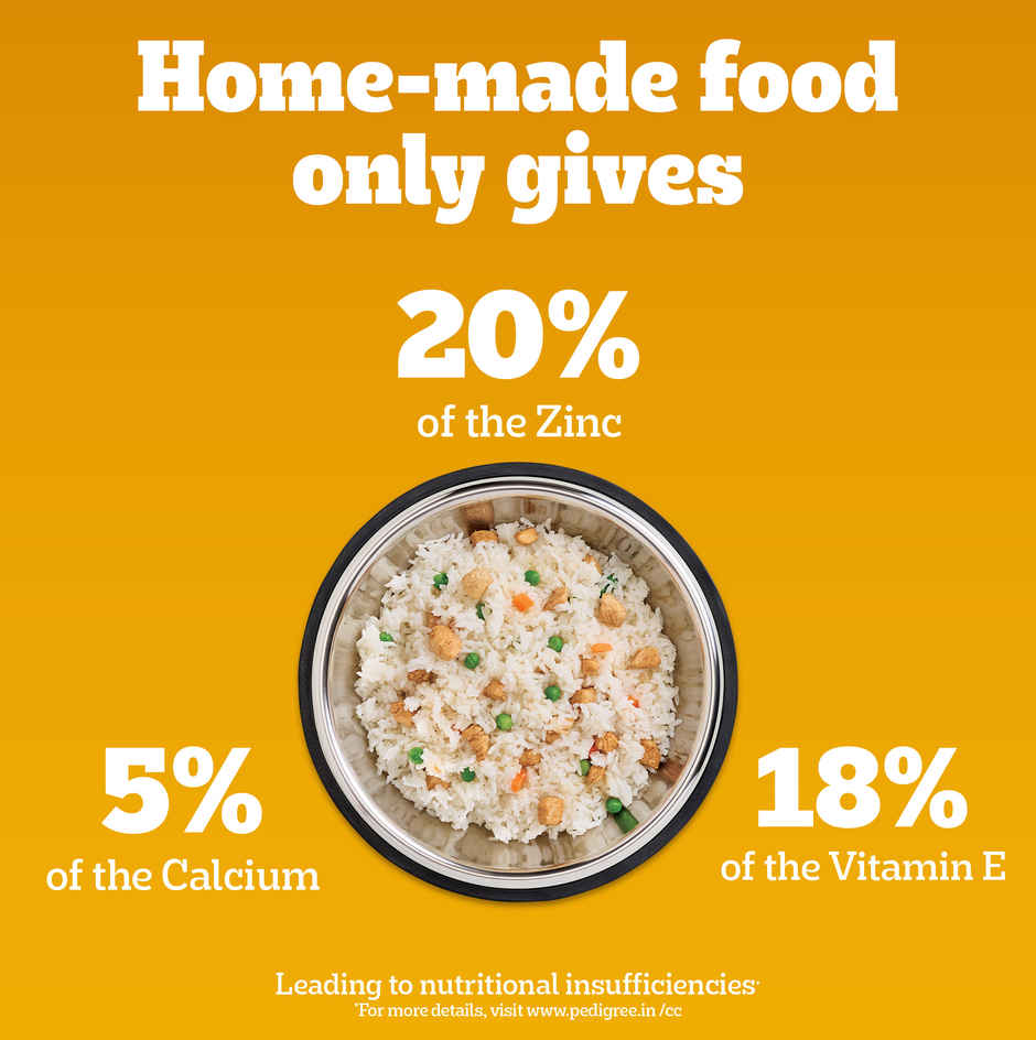 Pedigree Adult Chicken & Vegetables Dry Dog Food Combo