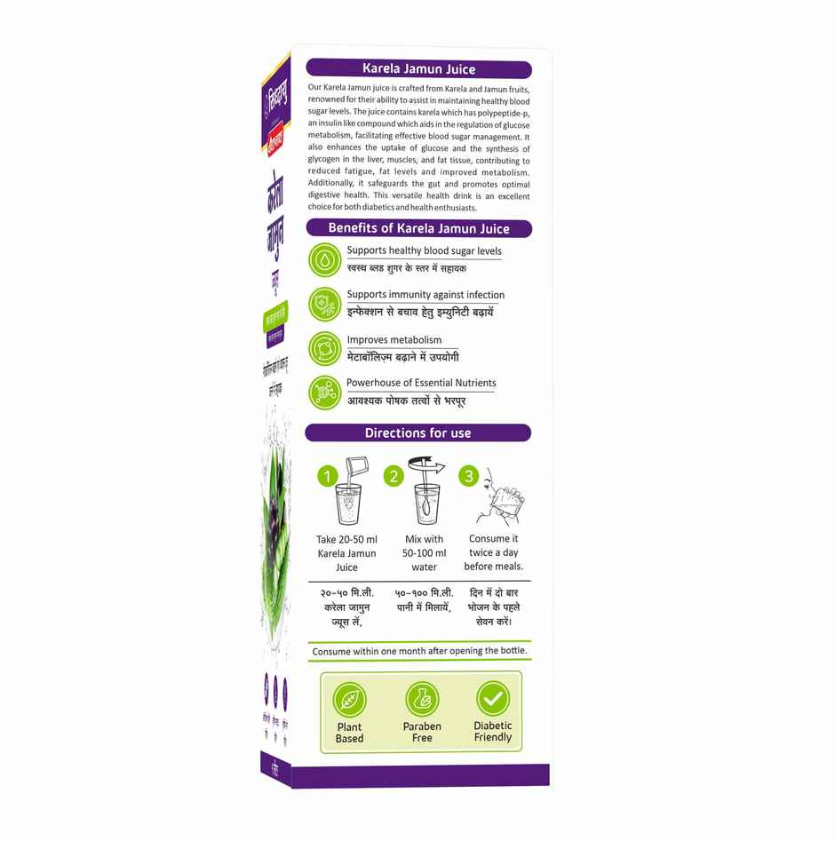 Baidyanath Karela Jamun Juice