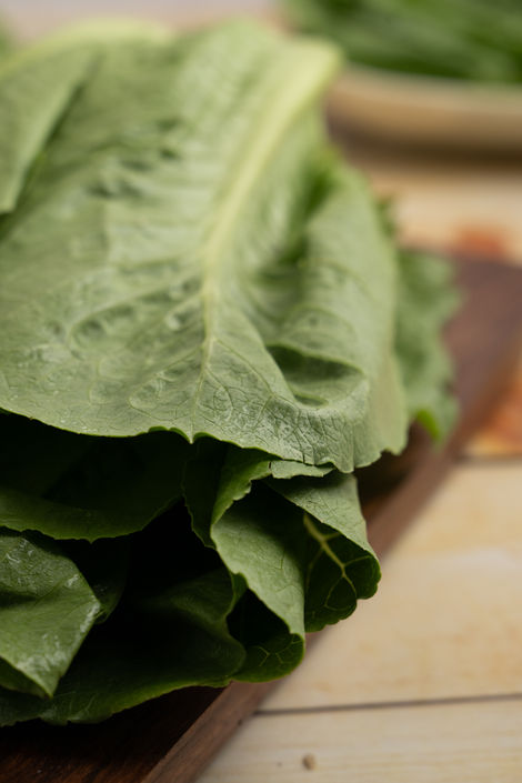 Lettuce Romaine Green
