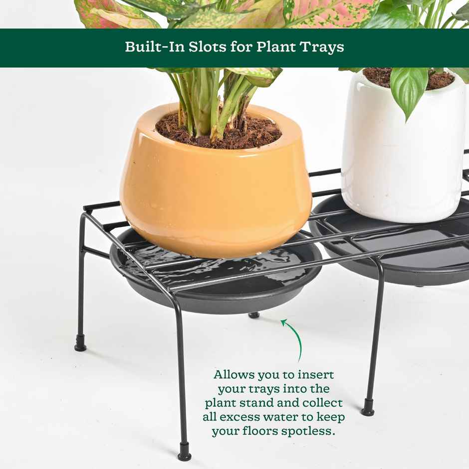 Ugaoo Driplock Black Plant Stand - Set Of 4