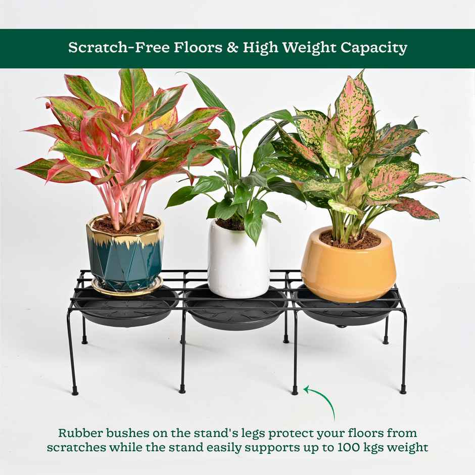 Ugaoo Driplock Black Plant Stand - Set Of 4