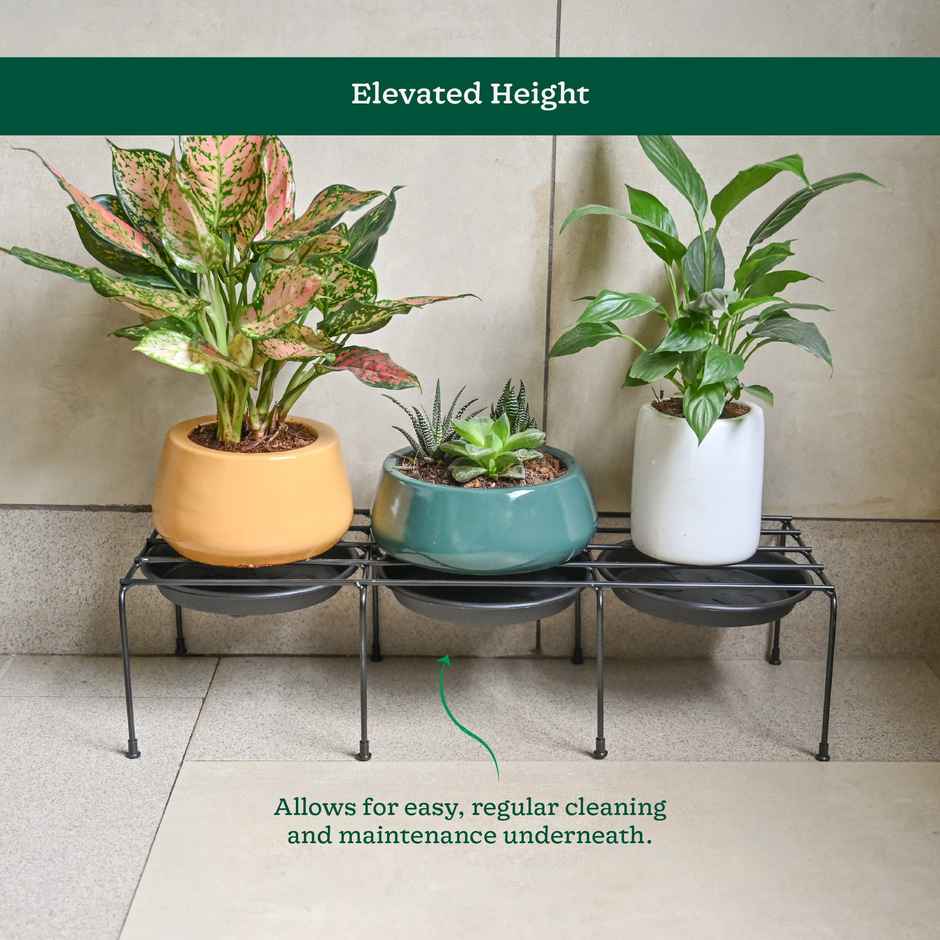 Ugaoo Driplock Black Plant Stand - Set Of 4