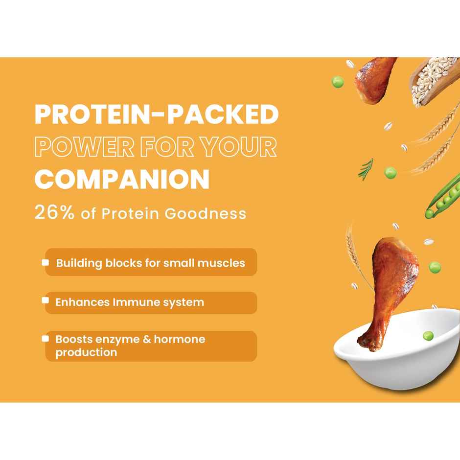 Bark Out Loud | Chicken & Ancient Grains Dog Food for Mini/Small Breed | Made in Belgium Kibbles