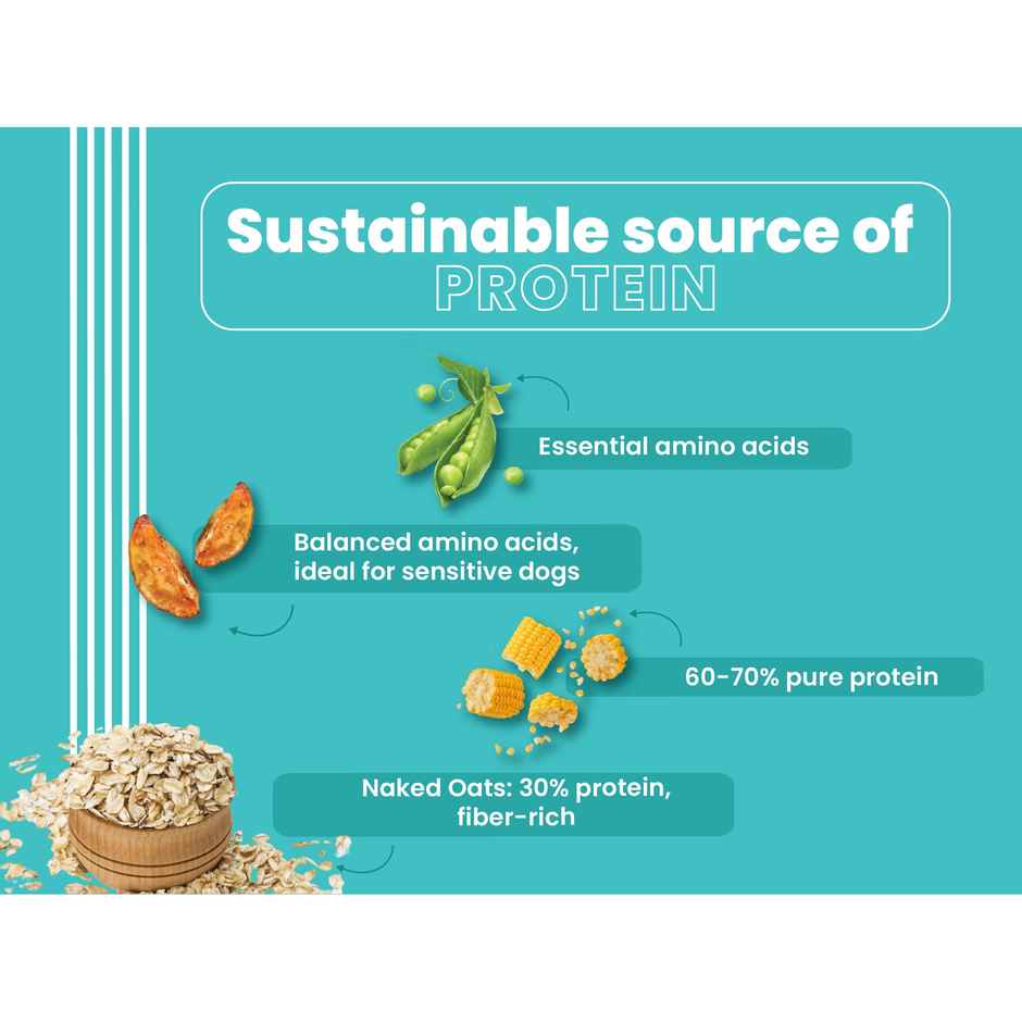 Bark Out Loud 100% Veg Dog Food Naked Oats & Veggies | Vegan | Mini Small Breed