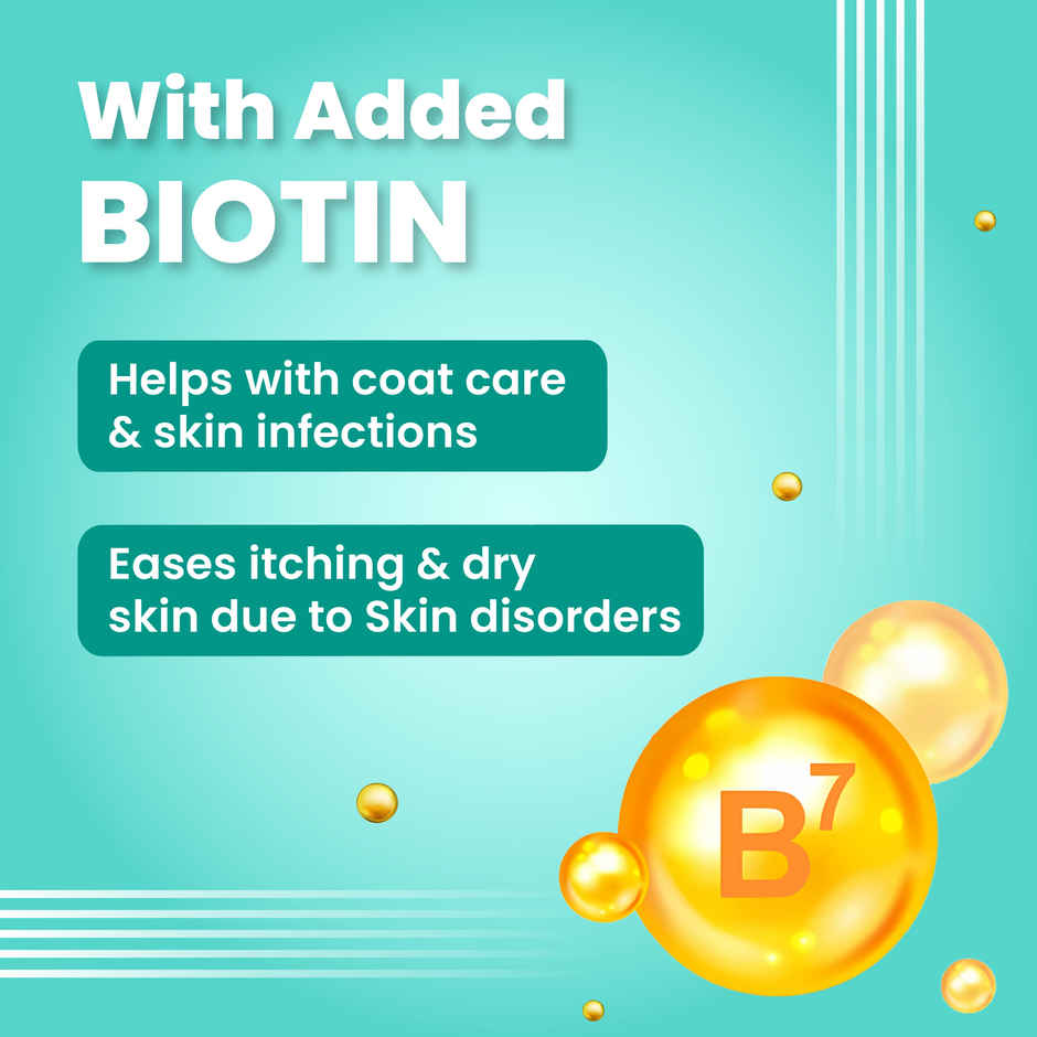 Bark Out Loud | Salmon And Turkey Dog Food For Medium / Large Breed (2kg) & Bark Out Loud Mini Fishes Dog Treats - No Grain & Hypoallergenic Snack For Dogs (100g) Combo