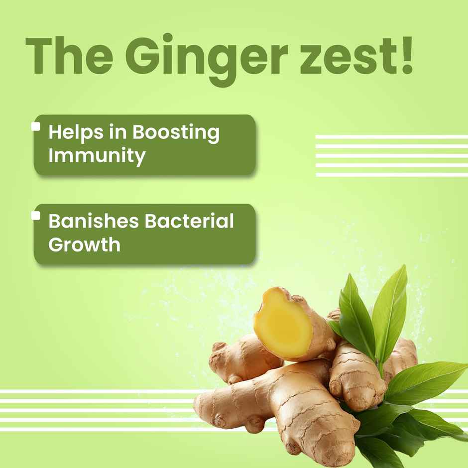 Bark Out Loud Endewor- Natural Dewormer For Dogs & Cat 10 Tablets