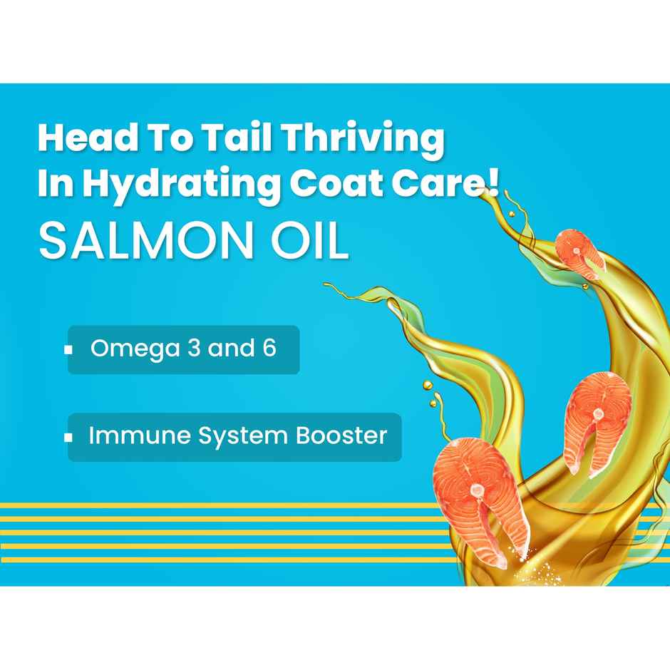 Bark Out Loud | Wet Cat Food | Fresh Tuna & Chicken Mousse Fish Gravy Food for Cats | Pack of 12