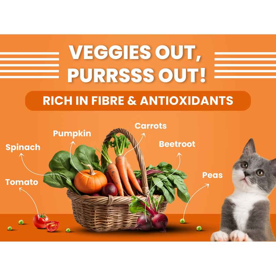 Bark Out Loud - Premium Kitten Dry Food | Fresh Salmon Fish & Chicken Hairball Control & Taurine