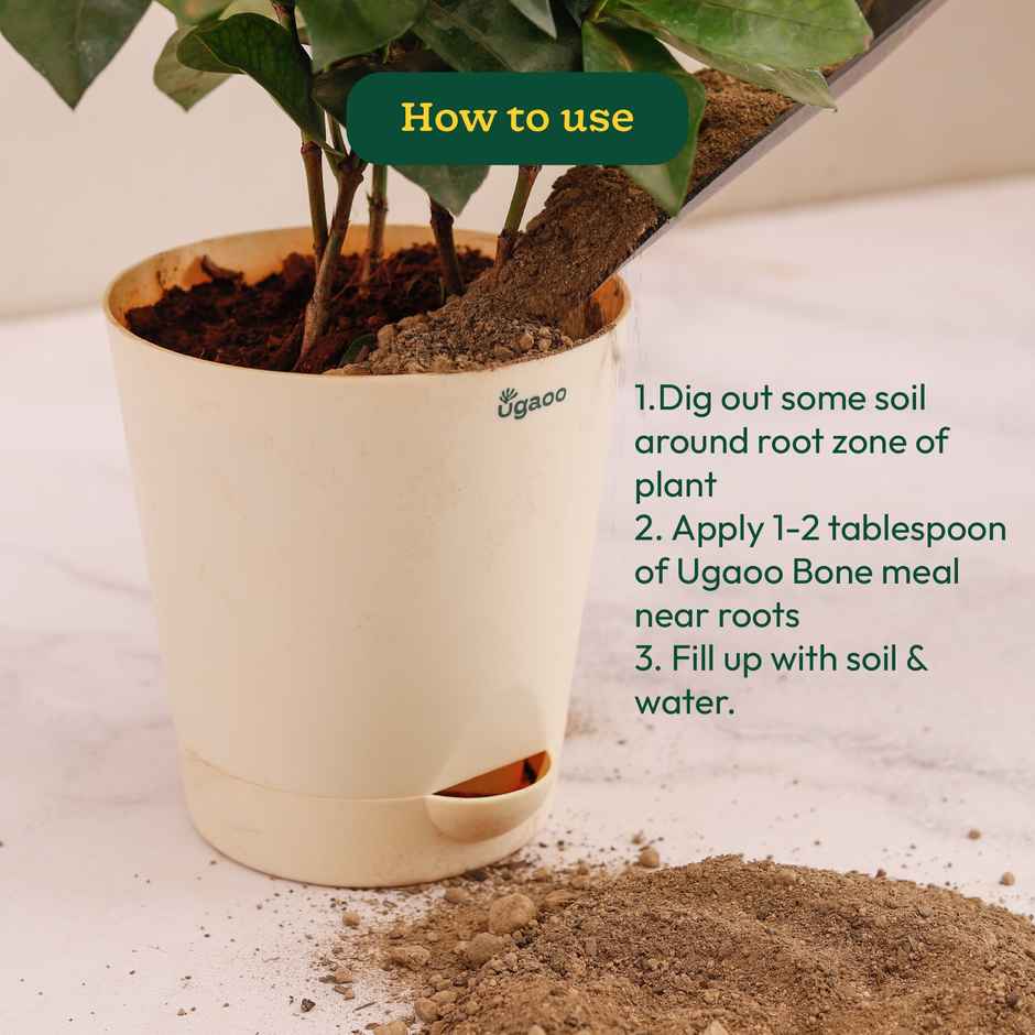 Ugaoo Organic Bone Meal Powder Fertilizer for Plants - 5 kg - Gardening Accessories