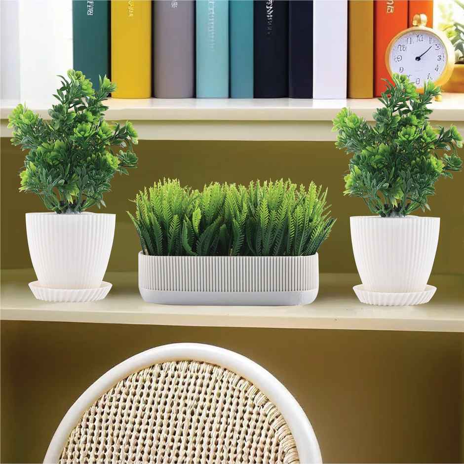 Kuber Industries 3 Pcs Set Plastic Mini Artificial Plants with Pot and Tray | 1002 - White