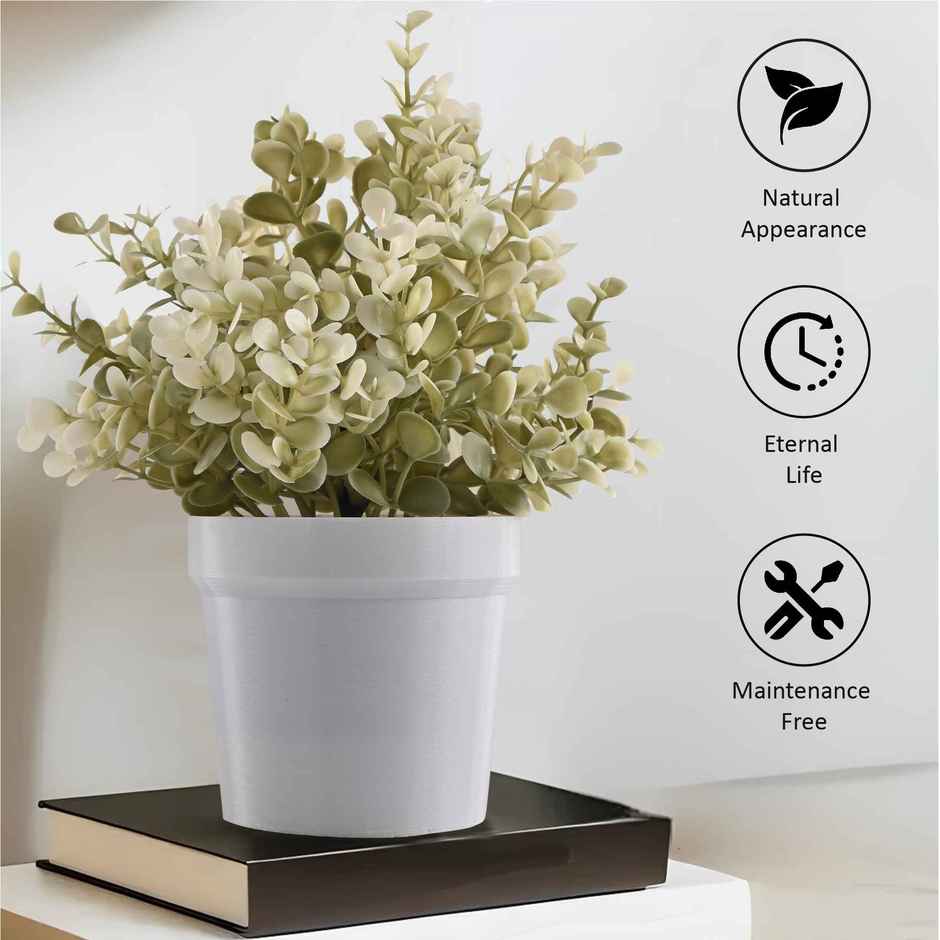 Kuber Industries Plastic Small Artificial Plants with Pot | Flower 80 - White