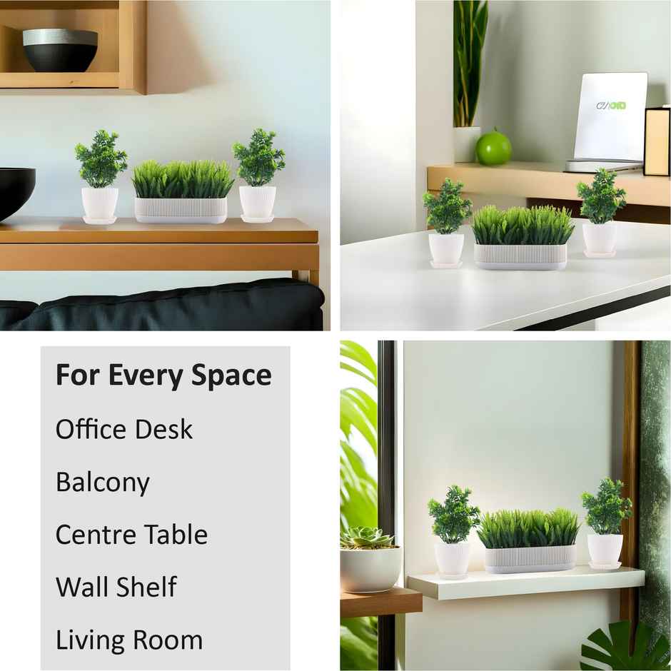 Kuber Industries 3 Pcs Set Plastic Mini Artificial Plants with Pot and Tray | 1002 - White