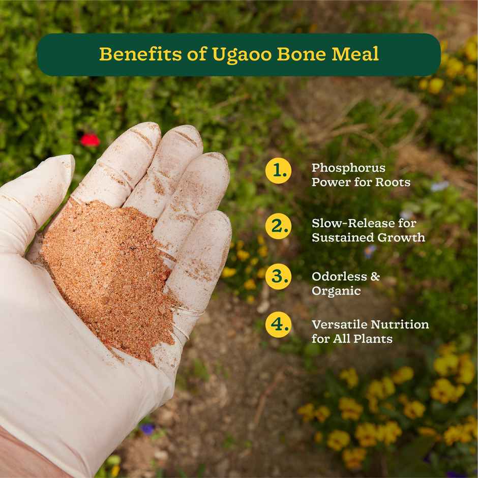 Ugaoo Organic Bone Meal Powder Fertilizer for Plants - 5 kg - Gardening Accessories