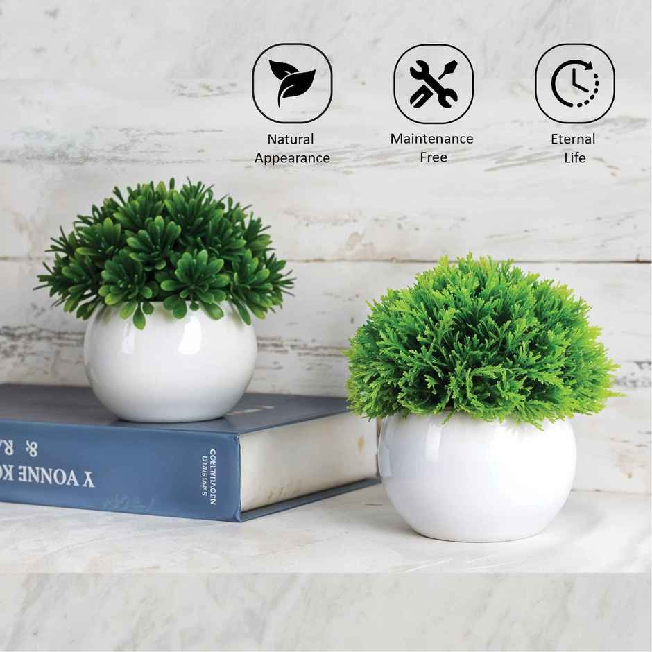 Kuber Industries 4 Pcs Set Plastic Mini Bonsai Artificial Plants with Pot | Puffy - White