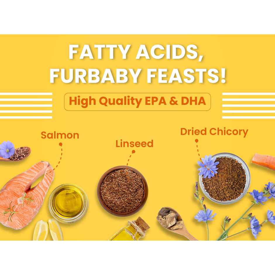 Bark Out Loud - Premium Kitten Dry Food | Fresh Salmon Fish & Chicken Hairball Control & Taurine