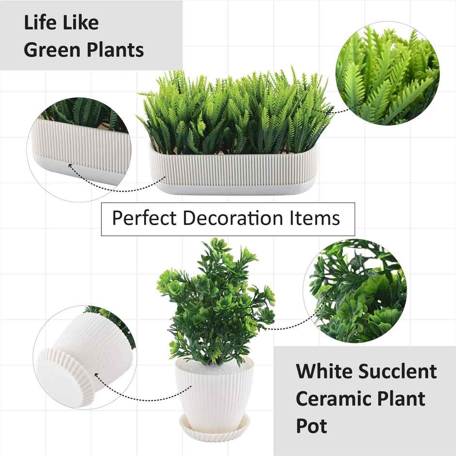 Kuber Industries 3 Pcs Set Plastic Mini Artificial Plants with Pot and Tray | 1002 - White
