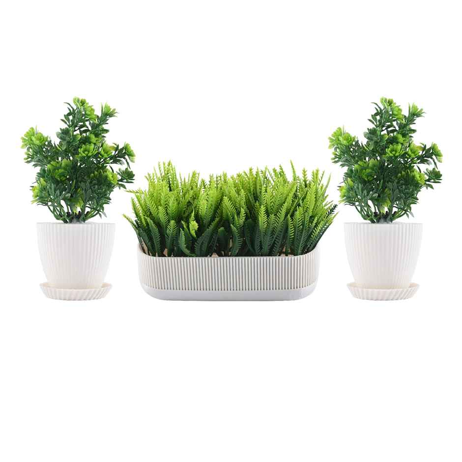 Kuber Industries 3 Pcs Set Plastic Mini Artificial Plants with Pot and Tray | 1002 - White