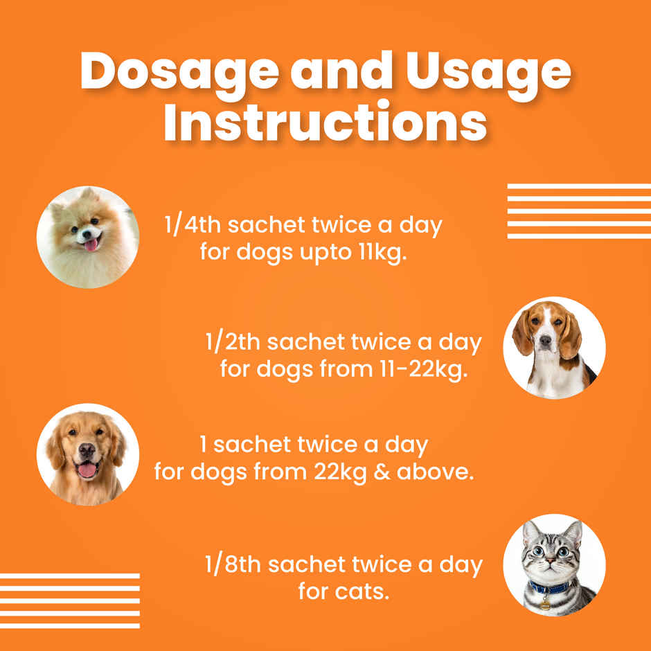 Bark Out Loud - Dog & Cat Calming & Anxiety Supplement