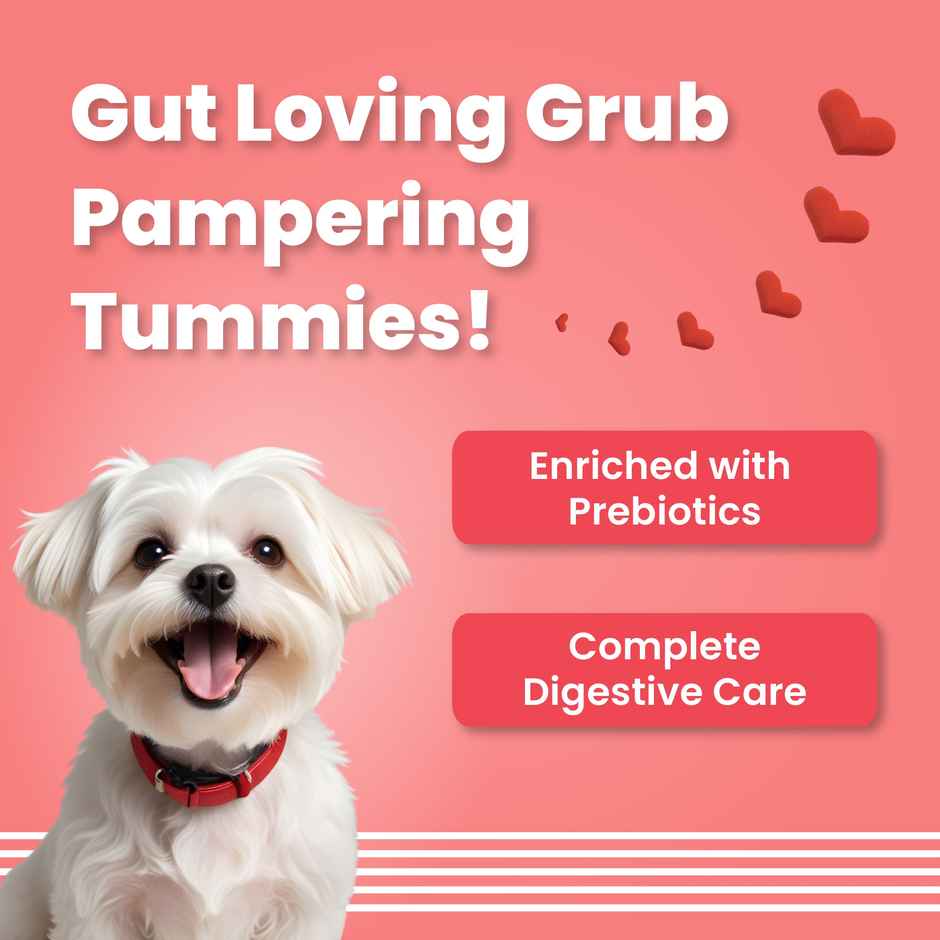 Bark Out Loud Valentines Special Red Heart Dog Treats | Soft Chews Chicken