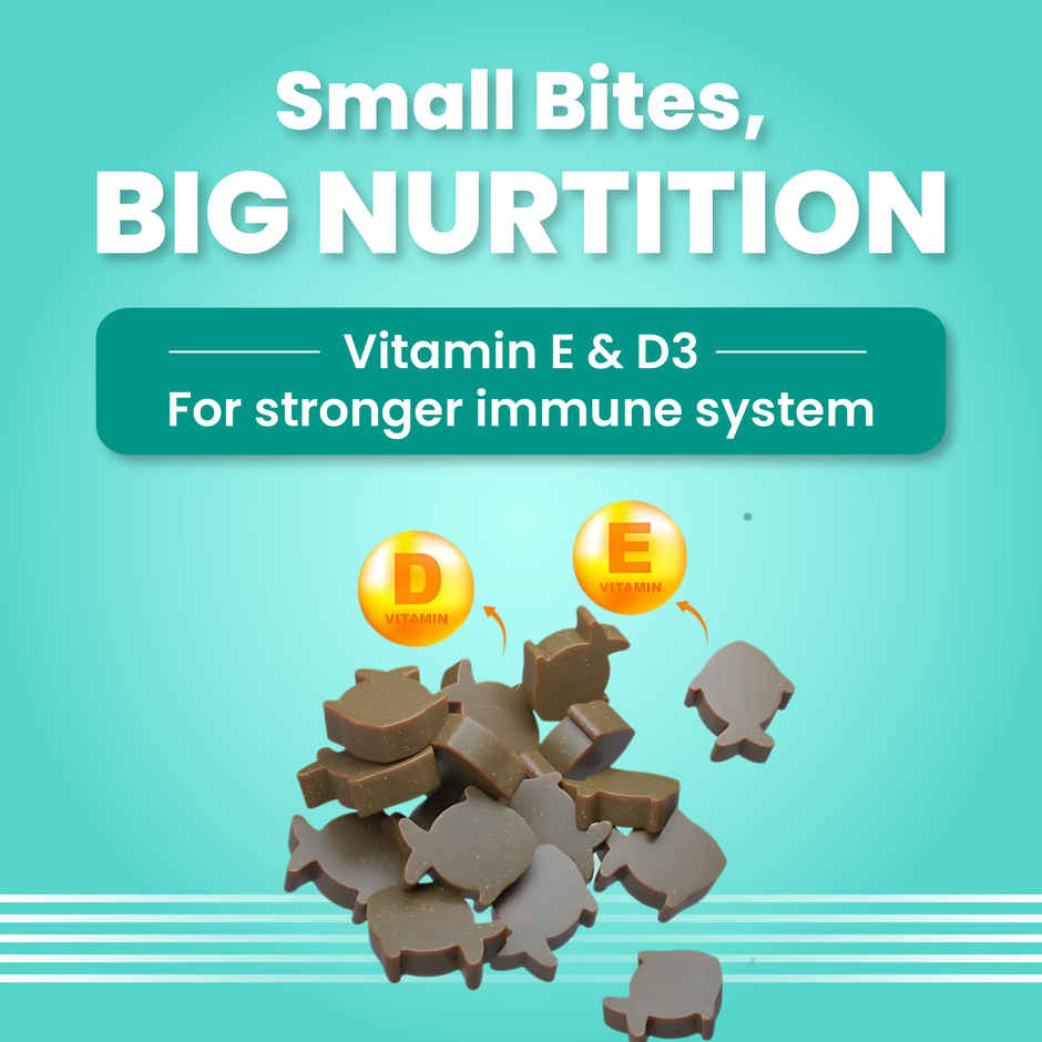 Bark Out Loud | Salmon And Turkey Dog Food For Medium / Large Breed (2kg) & Bark Out Loud Mini Fishes Dog Treats - No Grain & Hypoallergenic Snack For Dogs (100g) Combo