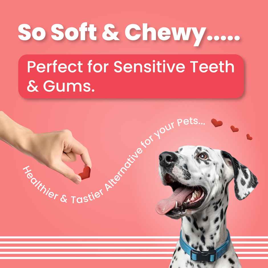 Bark Out Loud Valentines Special Red Heart Dog Treats | Soft Chews Chicken