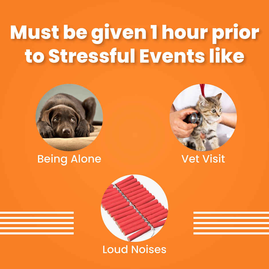 Bark Out Loud - Dog & Cat Calming & Anxiety Supplement