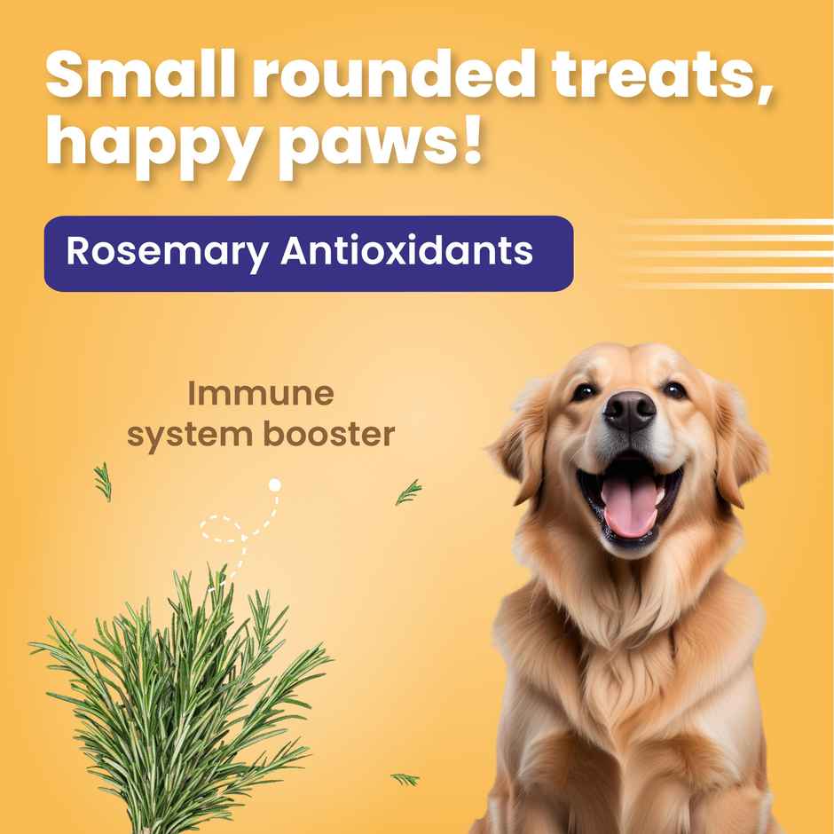 Bark Out Loud - Chicken Swirls Dog Treats | Omega-3 Fatty Acids & Antioxidants | Snacks for Dogs