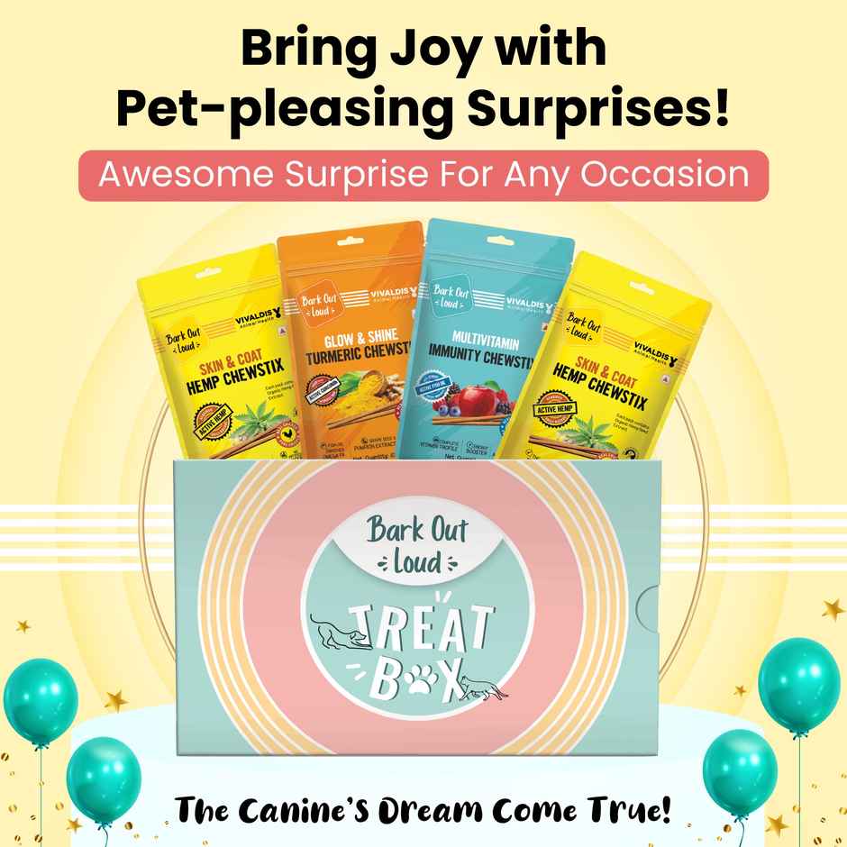 Bark Out Loud - Treat Gift Box For Dogs & Cats For Birthday & Special Occasions