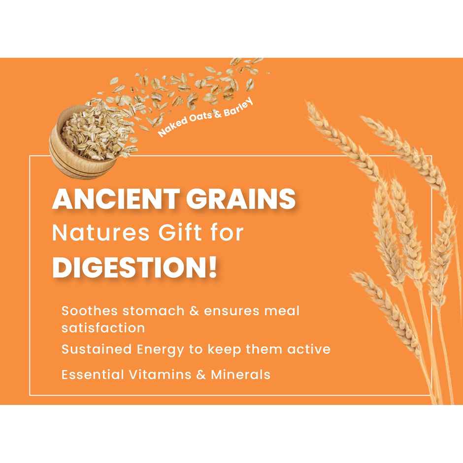 Bark Out Loud | Chicken & Ancient Grains Dog Food for Mini/Small Breed | Made in Belgium Kibbles