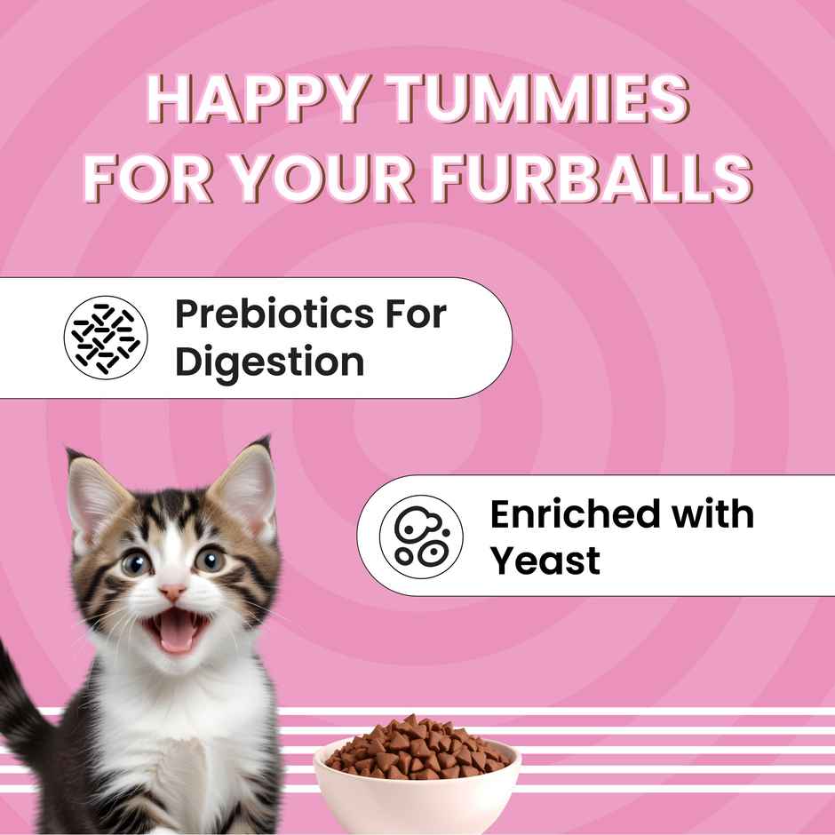 Bark Out Loud | Essentials Kitten Dry Food | Fish & Chicken | Added Taurine - No Preservatives