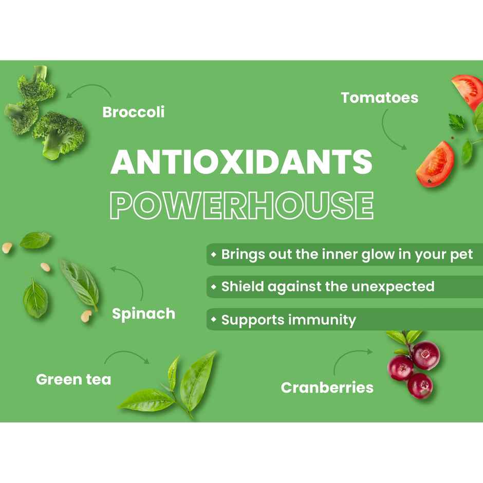 Bark Out Loud 100% Veg Dog Food Naked Oats & Veggies | Vegan | Mini Small Breed