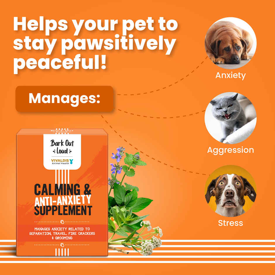 Bark Out Loud - Dog & Cat Calming & Anxiety Supplement