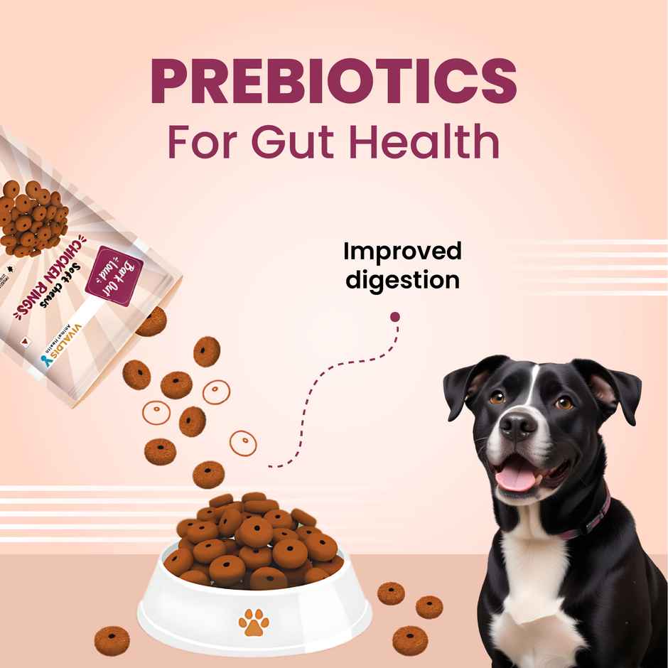 Bark Out Loud | Chicken Rings Dog Treats | Soft Chews with Prebiotics| Snacks for Dogs 100 gms
