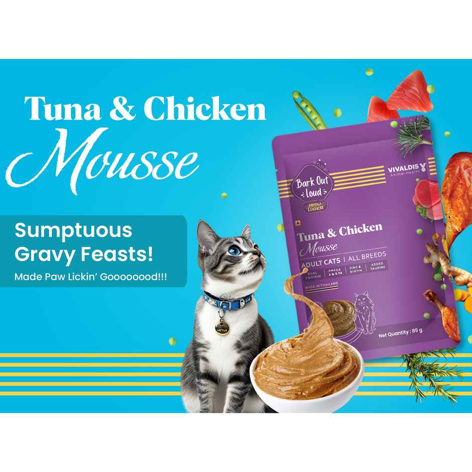 Bark Out Loud | Wet Cat Food | Fresh Tuna & Chicken Mousse Fish Gravy Food for Cats | Pack of 12